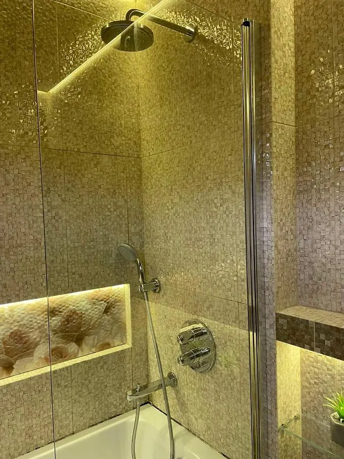 Vip Penthouse Apartments Lviv